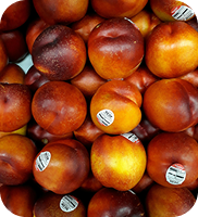 Nectarines