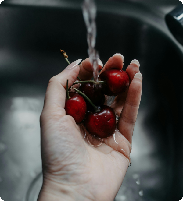 Washing & Preparation