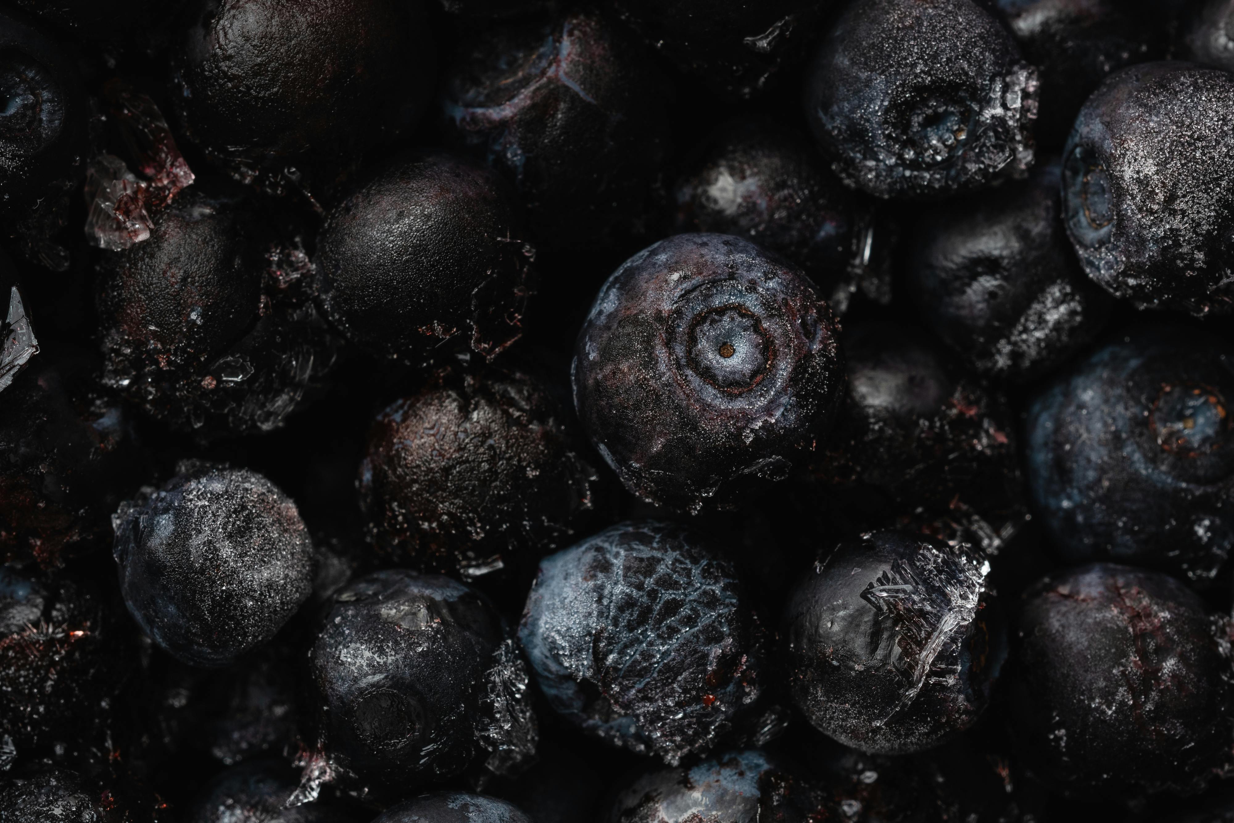 Fresh from Our Orchard to You