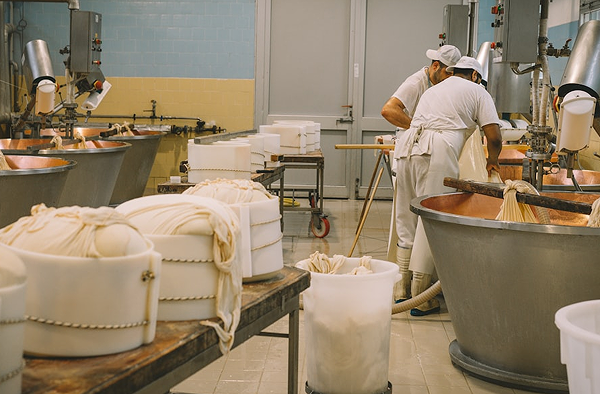 Production Facility